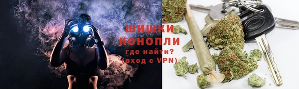 дживик Надым