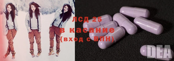 дживик Надым