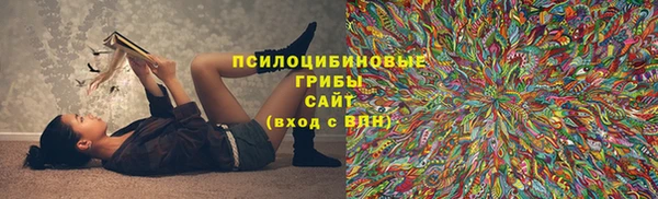 дживик Надым