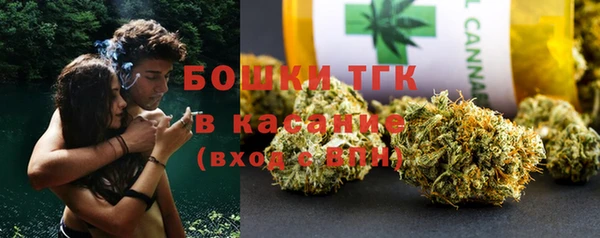 дживик Надым