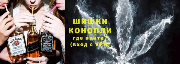 дживик Надым