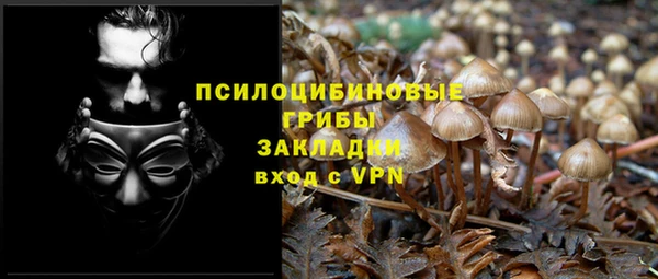 ПСИЛОЦИБИНОВЫЕ ГРИБЫ Наволоки