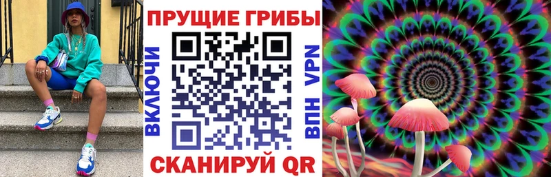Галлюциногенные грибы Magic Shrooms  Купить  Канск 